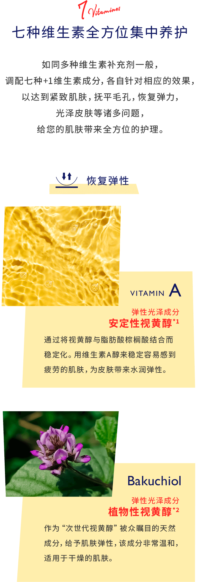 七种维生素全方位集中养护 如同多种维生素补充剂一般，调配七种+1维生素成分，各自针对相应的效果，以达到紧致肌肤，抚平毛孔，恢复弹力，光泽皮肤等诸多问题，给您的肌肤带来全方位的护理。