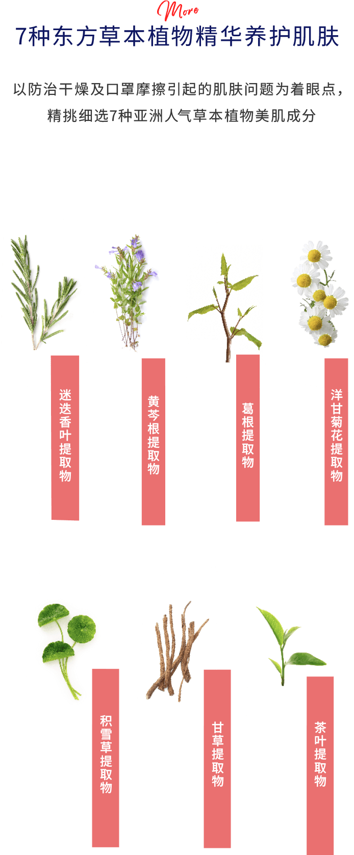 7种东方草本植物精华养护肌肤 以防治干燥及口罩摩擦引起的肌肤问题为着眼点，精挑细选7种亚洲人气草本植物美肌成分