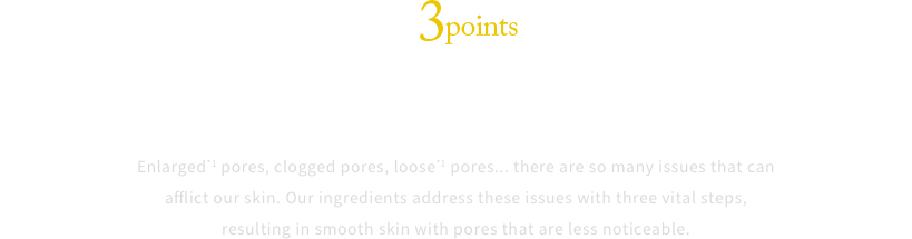 3points ３つのはたらきで美肌をサポート 開き※1に、黒ずみ、ゆるみ※1……毛穴の悩みもいろいろだから。フラーレンをはじめとするセラム成分による3つのはたらきで、皮脂バランスを整えて※2肌をひきしめ、毛穴が目立ちにくい素肌へ導きます。